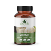 Lion's Mane Mushroom Extract - 120 Vegetarian Capsules - 4,200mg - Non-GMO Supplement