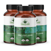 Cow's Foot Leaves - Blood Sugar Support – Pata de Vaca - Hojas de pie de vaca -(100 cápsulas vegetales)