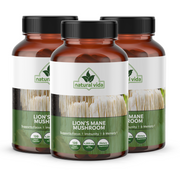 Lion's Mane Mushroom Extract - 120 Vegetarian Capsules - 4,200mg - Non-GMO Supplement