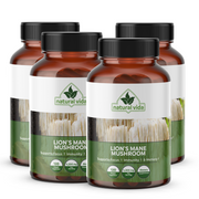 Lion's Mane Mushroom Extract - 120 Vegetarian Capsules - 4,200mg - Non-GMO Supplement